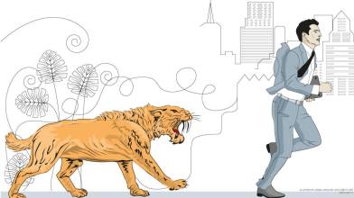 24831445_147456142567084_7958957339290223678_o